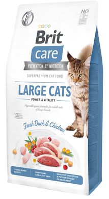 Brit Care Cat Grain-Free Large Cats Power & Vitality - Сухий беззерновий гіпоалергенний корм з качкою та куркою для кішок великих порід, 400 г