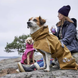 Hurtta Monsoon coat II ECO Дощовик для собак, розмір 23