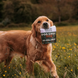Печиво для собак Beco Pets Шоколад з керобом, ромашкою та кіноа, 70 г