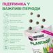 LK Baits Pet Nutrigo Plantago S-M Функціональні ласощі з сиропом подорожника (&Oslash; 20 мм) для собак середніх порід, 170 г