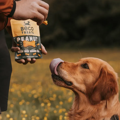 Печиво для собак Beco Pets Арахіс з кокосом і куркумою, 70 г