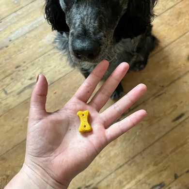 Печиво для собак Beco Pets Арахіс з кокосом і куркумою, 70 г