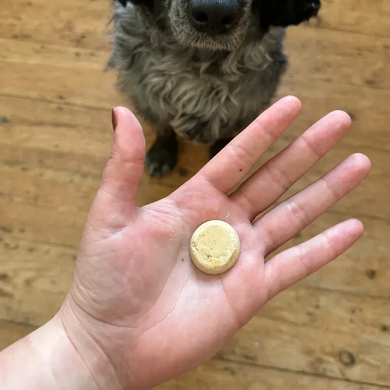 Печиво для собак Beco Pets Куряча печінка з пастернаком і медом, 60 г