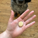 Печиво для собак Beco Pets Куряча печінка з пастернаком і медом, 60 г