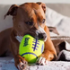 Kong AirDog Squeaker Football Конг іграшка, повітряний регбі м'яч, L