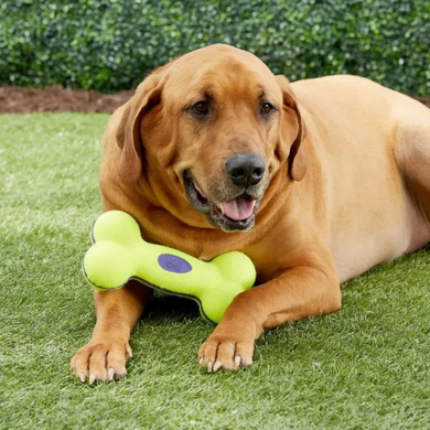 Kong AirDog Squeaker Bone Конг игрушка-воздушная кость для собак, S