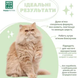 Menforsan Shampoo Ecologial Very Mild Шампунь экологический для кошек и котят, 300 мл