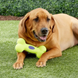 Kong AirDog Squeaker Bone Конг игрушка-воздушная кость для собак, S