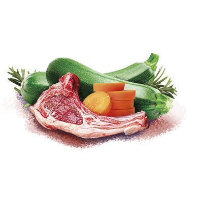 Brit Mono Protein Christmas Lamb Рождественский ужин влажный корм с ягненком для собак, 400 г