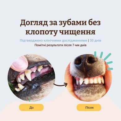 Natural Dog Company Dental Powder Порошок от зубного камня для собак, 80 г