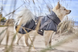 Hurtta Mudventure Coat ECO Дощовик для собак, розмір 65