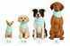 GF Pet Cooling Bandana For Dog Охолоджувальна бандана для собак, розмір XS