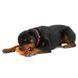 West Paw Tux Large Tangerine Іграшка для ласощів собак, помаранчева, 13 см