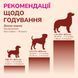 LK Baits Pet Nutrigo Gold Turmeric Mini Функциональное лакомство с куркумой (&Oslash; 15 мм) для собак мелких пород, 75 г