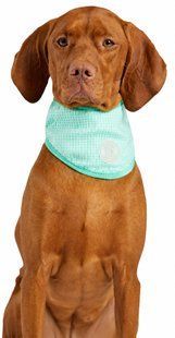 GF Pet Cooling Bandana For Dog Охлаждающая бандана для собак, размер L/XL