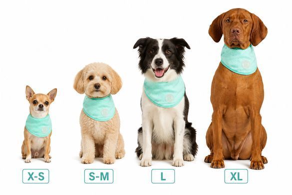 GF Pet Cooling Bandana For Dog Охлаждающая бандана для собак, размер L/XL