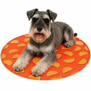 GF Pet Cooling Mat For Dog - Orange Охолоджувальний килимок для собак, помаранчевий, розмір S/M
