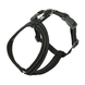 Hurtta Casual Y-harness Анатомічна шлейка для собак, розмір 30-35