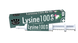 Mervue Lysine 250 Паста Лизин для поддержания иммунитета при вирусных заболеваниях у кошек, 30 мл