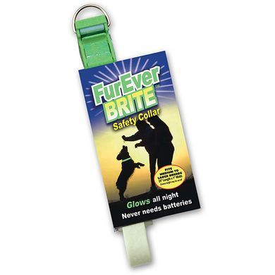 Davis FurEver Brite Safety Collar S Дэвис Ошейник светящийся для собак, 48 см х 1,9 см
