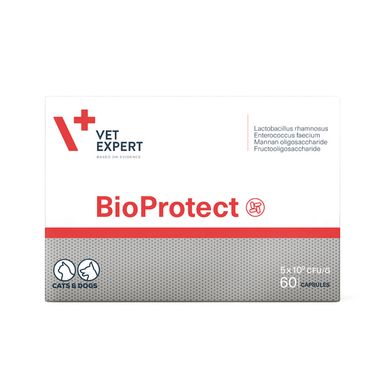 VetExpert BioProtect Пищевая добавка для кошек и собак с нарушенной желудочно-кишечной микрофлорой