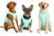 GF Pet Cooling Vest For Dog Охолоджувальний жилет для собак, бірюзовий, розмір XS