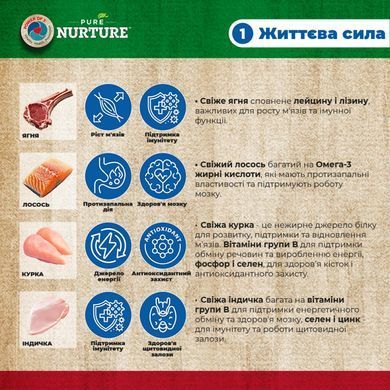Pure Nurture Sensitive Daily Nurture Сухой корм с ягненком и ячменем для чувствительных взрослых собак средних и крупных пород, 3 кг