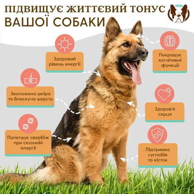 Natural Dog Company Wild Alaskan Salmon Oil Лососевое масло для собак, 237 мл