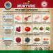 Pure Nurture Grain Free Сухий беззерновий корм з індичкою та картоплею для собак всіх вікових груп, 3 кг
