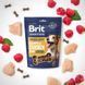 Brit Premium Semi-moist Snacks Chicken with Raspberry Лакомства полувлажные с курицей и малиной для собак, 180 г