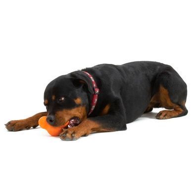 West Paw Tux Small Tangerine Іграшка для ласощів собак, помаранчева, 10 см