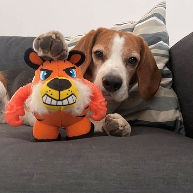 Croci Warriors Tiger Plush Іграшка Тигр казкові воїни пищалка для собак, 18х12х12 см