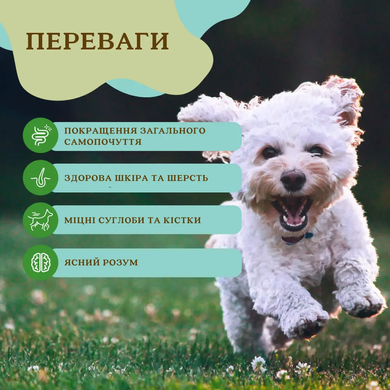 Natural Dog Company Super Greens Granules Суперфуд для собак смесь гранул зелени, 228 г
