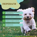 Natural Dog Company Super Greens Granules Суперфуд для собак смесь гранул зелени, 228 г