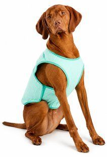 GF Pet Cooling Vest For Dog Охолоджувальний жилет для собак, бірюзовий, розмір 4 XL