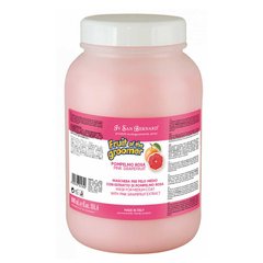 Iv San Bernard Pink Grapefruit Маска для середньої шерсті, з грейпфрутом та Вітамином В6