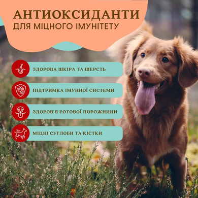 Natural Dog Company Antioxidant Berry Granules Суперфуд для собак смесь ягод антиоксидантов, 228 г