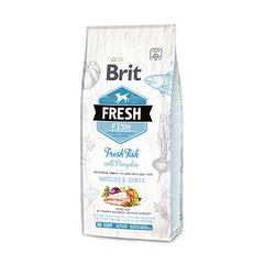 Brit Fresh Fish with Pumpkin Adult Large Muscles & Joints - Сухий корм зі свіжою рибою та гарбузом для дорослих собак великих порід, 12 кг