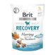 Brit Care Functional Snack Recovery Herring Функциональное полумягкое лакомство с селедкой для ускорения регенерации после физических нагрузок у собак