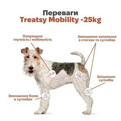 Treatsy Mobility-25kg Функциональное лакомство для поддержания здоровья суставов, хрящей и естественной подвижности собак до 25 кг, 180 г (60 шт.)