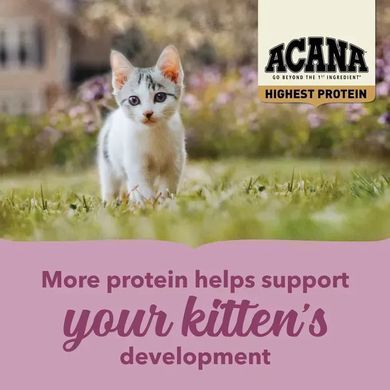 Acana Highest Protein Kitten Сухий корм для кошенят, 1,8 кг