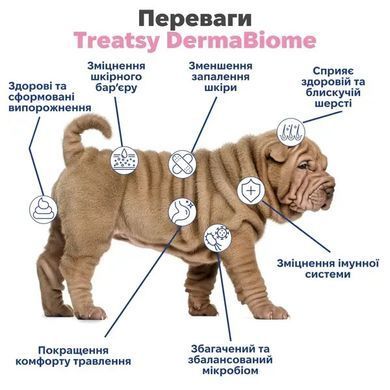 Treatsy DermaBiome Функциональное лакомство для поддержания здоровья кожи и баланса кишечного микробиома собак, 180 г (60 шт.)