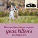 Acana Highest Protein Kitten Сухий корм для кошенят, 1,8 кг