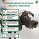 Menforsan Shampoo Ecologial Very Mild Шампунь екологічний для собак і цуценят, 300 мл