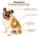 Treatsy Anti Coprophagia Функциональное лакомство против копрофагии для собак, 180 г (60 шт.)