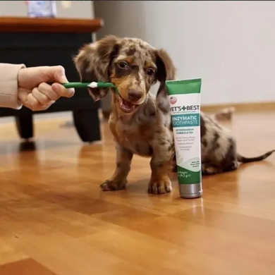 Vet`s Best Dental Care Kit Зубная паста + зубная щетка для собак, 103 мл