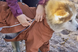 Hurtta Mudventure Overall ECO Дощовик комбінезон для собак, 25 S