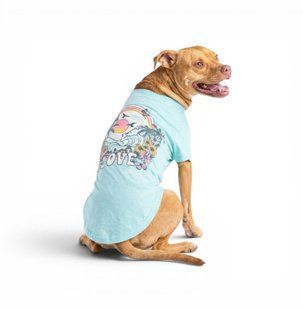 GF Pet Dog T-Shirt - Aqua Футболка для собак, бірюзова, розмір 2 XS