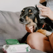 Beco Pets Dog Ear Wipes Бамбукові серветки для очищення вушок собак, 70 шт