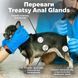 Treatsy Anal Glands Функциональное лакомство для поддержания здоровья параанальных желез для собак, 90 г (30 шт)